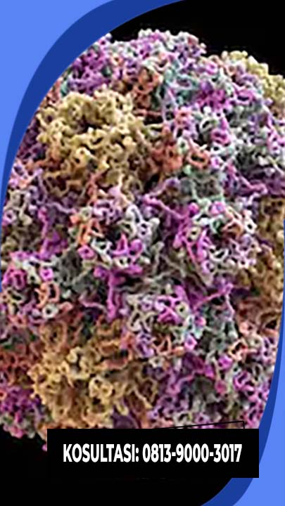 obat kutil kelamin 2